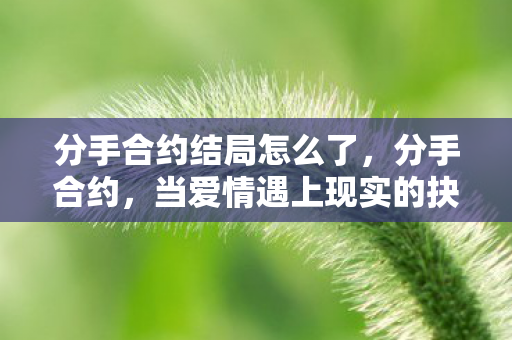 分手合约结局怎么了，分手合约，当爱情遇上现实的抉择