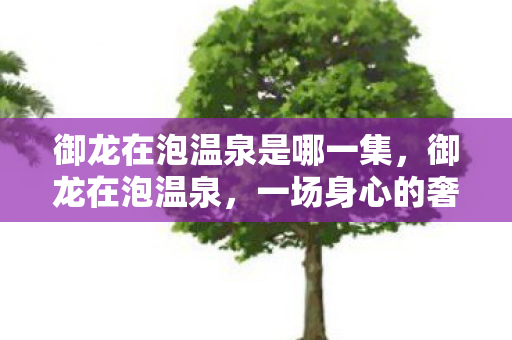 御龙在泡温泉是哪一集，御龙在泡温泉，一场身心的奢华之旅