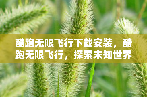 酷跑无限飞行下载安装，酷跑无限飞行，探索未知世界的自由之旅