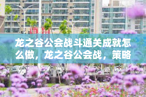 龙之谷公会战斗通关成就怎么做，龙之谷公会战，策略与荣耀的较量