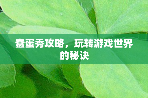 蠢蛋秀攻略，玩转游戏世界的秘诀