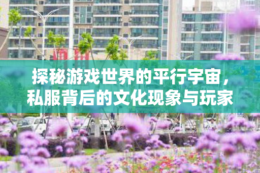 探秘游戏世界的平行宇宙，私服背后的文化现象与玩家心理