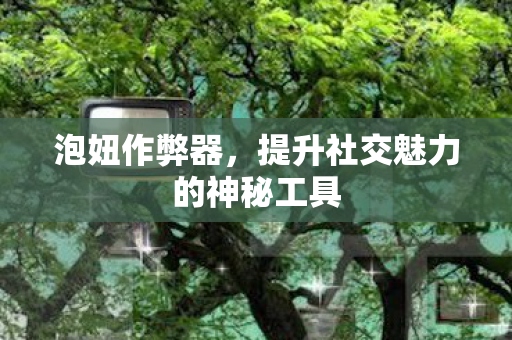 泡妞作弊器，提升社交魅力的神秘工具