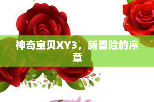 神奇宝贝XY3，新冒险的序章