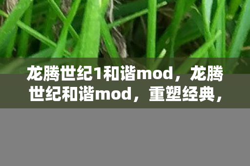 龙腾世纪1和谐mod，龙腾世纪和谐mod，重塑经典，打造全新游戏体验