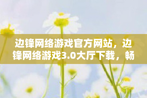 边锋网络游戏官方网站，边锋网络游戏3.0大厅下载，畅享经典游戏的便捷途径