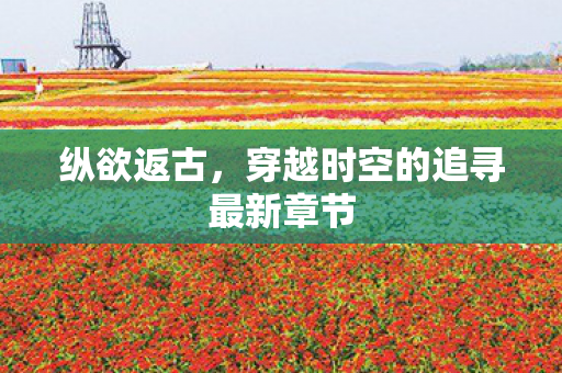 纵欲返古，穿越时空的追寻最新章节