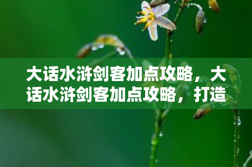大话水浒剑客加点攻略，大话水浒剑客加点攻略，打造最强剑客，驰骋江湖