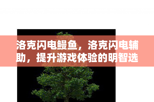 洛克闪电鳗鱼，洛克闪电辅助，提升游戏体验的明智选择