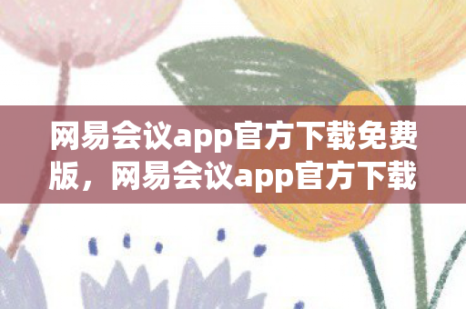 网易会议app官方下载免费版，网易会议app官方下载—高效便捷的在线会议新选择