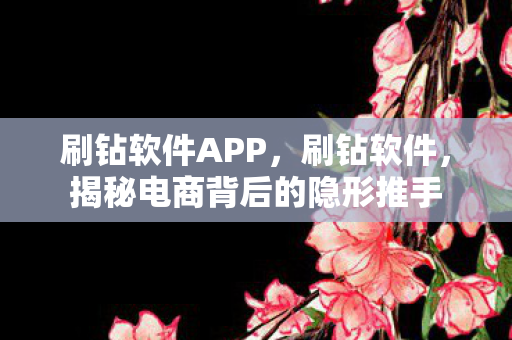 刷钻软件APP，刷钻软件，揭秘电商背后的隐形推手