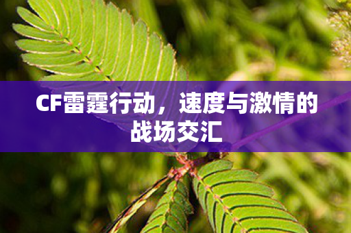 CF雷霆行动，速度与激情的战场交汇