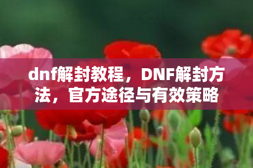 dnf解封教程，DNF解封方法，官方途径与有效策略