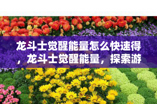 龙斗士觉醒能量怎么快速得，龙斗士觉醒能量，探索游戏世界的无限可能