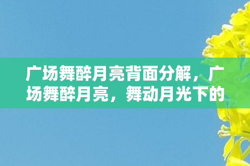 广场舞醉月亮背面分解，广场舞醉月亮，舞动月光下的欢乐与和谐