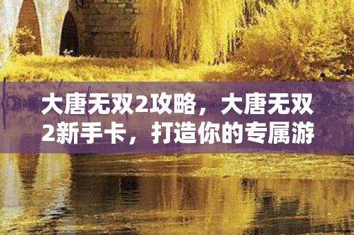 大唐无双2攻略，大唐无双2新手卡，打造你的专属游戏之旅