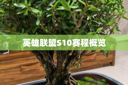 英雄联盟S10赛程概览
