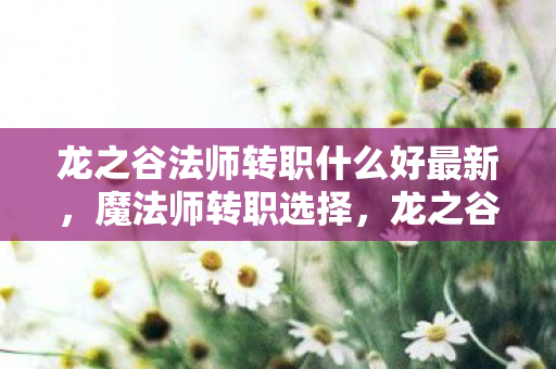 龙之谷法师转职什么好最新，魔法师转职选择，龙之谷中的智慧与力量