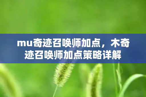 mu奇迹召唤师加点，木奇迹召唤师加点策略详解