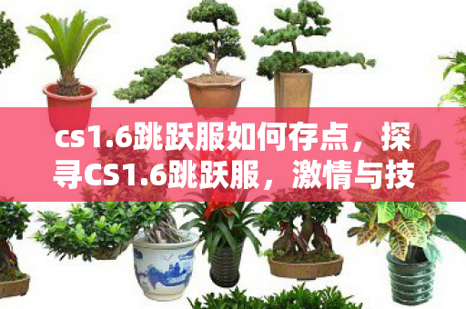 cs1.6跳跃服如何存点，探寻CS1.6跳跃服，激情与技巧的完美融合