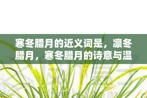 寒冬腊月的近义词是，凛冬腊月，寒冬腊月的诗意与温情