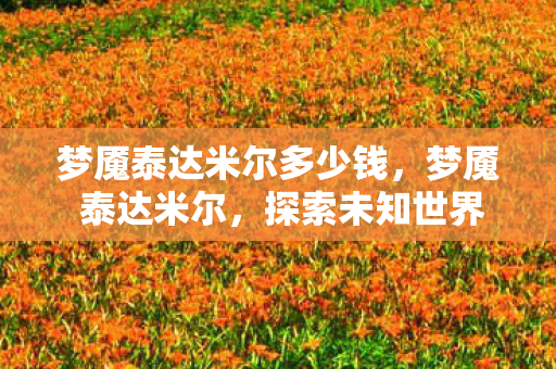 梦魇泰达米尔多少钱，梦魇 泰达米尔，探索未知世界的奇幻之旅