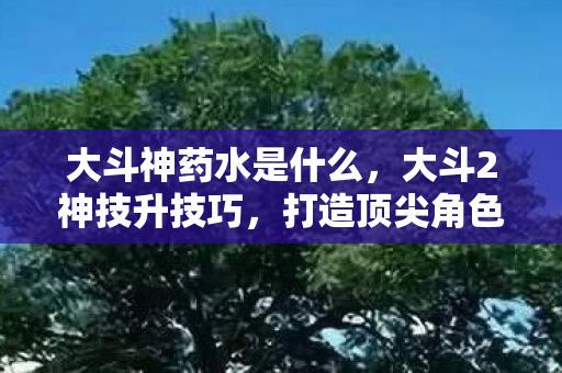 大斗神药水是什么，大斗2神技升技巧，打造顶尖角色的秘密武器