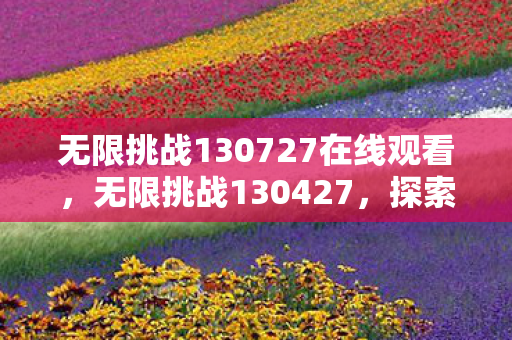无限挑战130727在线观看，无限挑战130427，探索未知，挑战极限