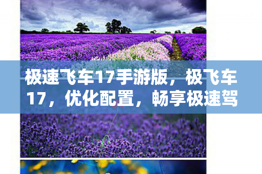 极速飞车17手游版，极飞车17，优化配置，畅享极速驾驶体验