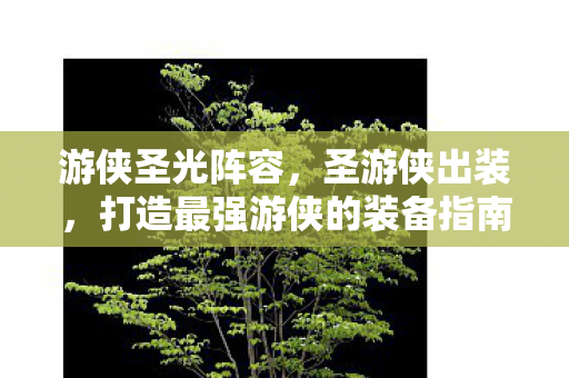 游侠圣光阵容，圣游侠出装，打造最强游侠的装备指南