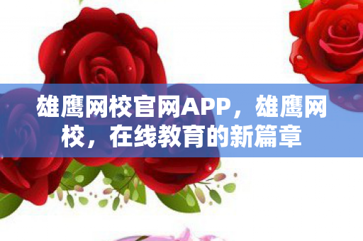 雄鹰网校官网APP，雄鹰网校，在线教育的新篇章