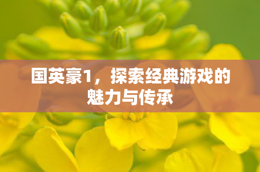 国英豪1，探索经典游戏的魅力与传承