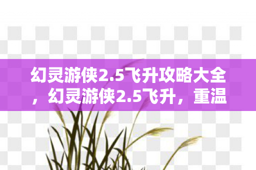 幻灵游侠2.5飞升攻略大全，幻灵游侠2.5飞升，重温经典，再续传奇