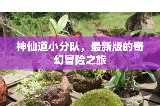 神仙道小分队，最新版的奇幻冒险之旅