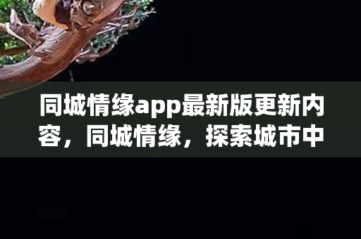 同城情缘app最新版更新内容，同城情缘，探索城市中的浪漫邂逅