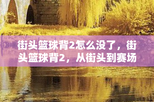 街头篮球背2怎么没了，街头篮球背2，从街头到赛场的华丽蜕变