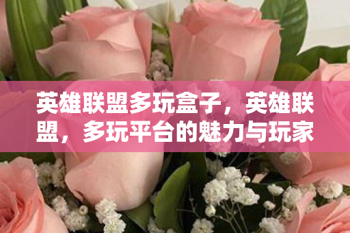 英雄联盟多玩盒子，英雄联盟，多玩平台的魅力与玩家体验