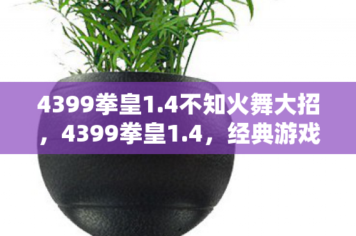 4399拳皇1.4不知火舞大招，4399拳皇1.4，经典游戏的全新升级