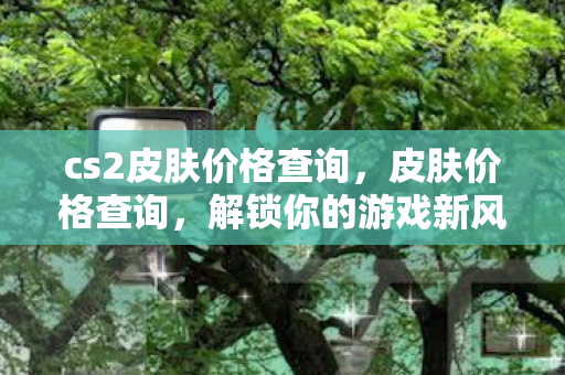 cs2皮肤价格查询，皮肤价格查询，解锁你的游戏新风尚