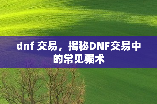 dnf 交易，揭秘DNF交易中的常见骗术