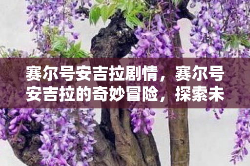 赛尔号安吉拉剧情，赛尔号安吉拉的奇妙冒险，探索未知，挑战自我