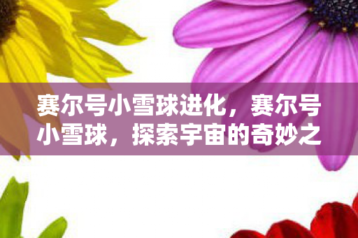 赛尔号小雪球进化，赛尔号小雪球，探索宇宙的奇妙之旅