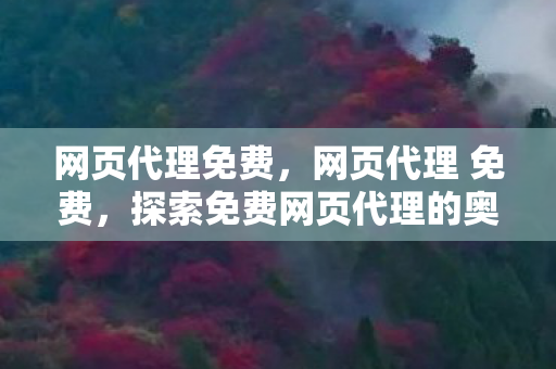 网页代理免费，网页代理 免费，探索免费网页代理的奥秘与优势