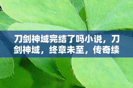 刀剑神域完结了吗小说，刀剑神域，终章未至，传奇续航