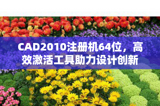 CAD2010注册机64位，高效激活工具助力设计创新