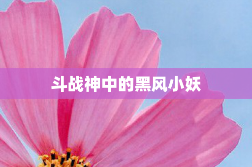 斗战神中的黑风小妖