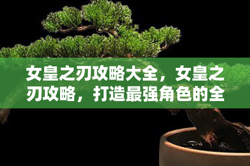 女皇之刃攻略大全，女皇之刃攻略，打造最强角色的全面指南