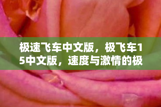 极速飞车中文版，极飞车15中文版，速度与激情的极致体验