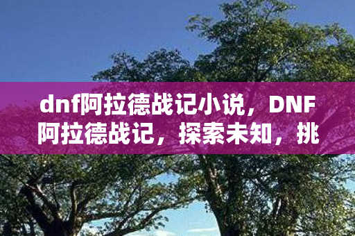 dnf阿拉德战记小说，DNF阿拉德战记，探索未知，挑战极限