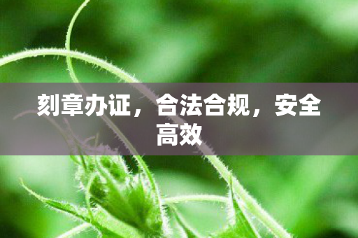 刻章办证，合法合规，安全高效